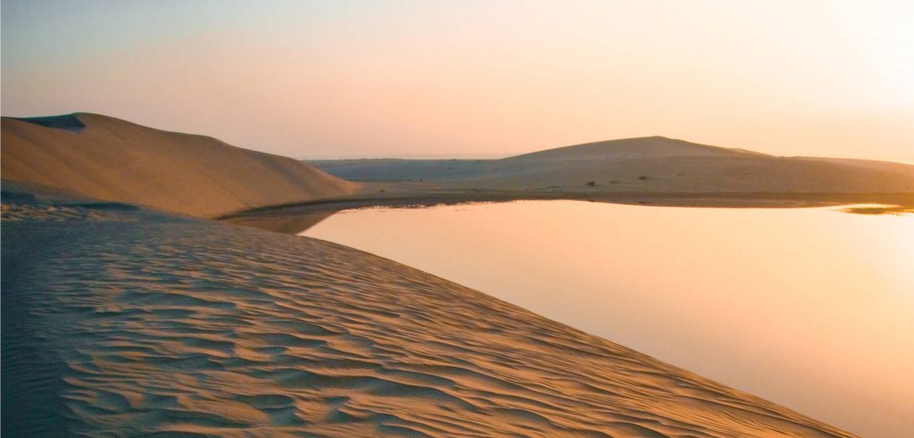 Qatar Adventure Desert Safari